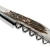 Forge De Laguiole SOMCF Stag Horn Waiter's Corkscrew -Knife Shop LASOMCF 01 forge de laguiole