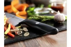 Zwilling Life Santoku Knife, 38588-181-0 -Knife Shop Life1