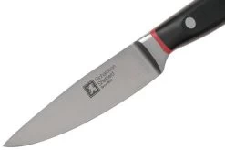 Richardson Sheffield Velocity 123BFCSB3117 Paring Knife, 10.5cm -Knife Shop RFR123BFCSB3117 03 richardsonsheffield