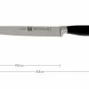 Zwilling 30070-201 Four Star II Carving Knife -Knife Shop ZW30070 201 01 zwilling four star ii zw30070 201 01